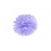 Pom pom, 35 cm, več barv
